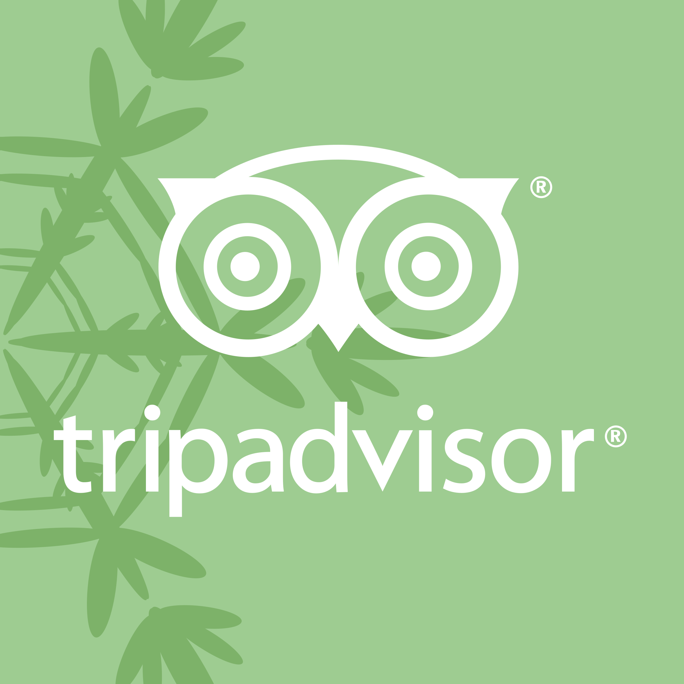 TripAdvisor
